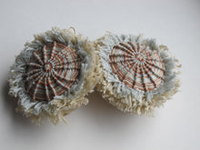Load image into Gallery viewer, sandstorm suns / embroidered earrings